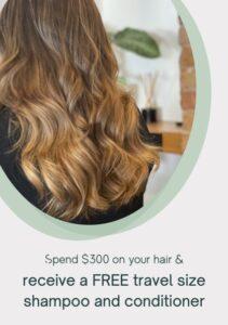 Spend $300 on your hair and receive a free travel size shampoo and conditioner