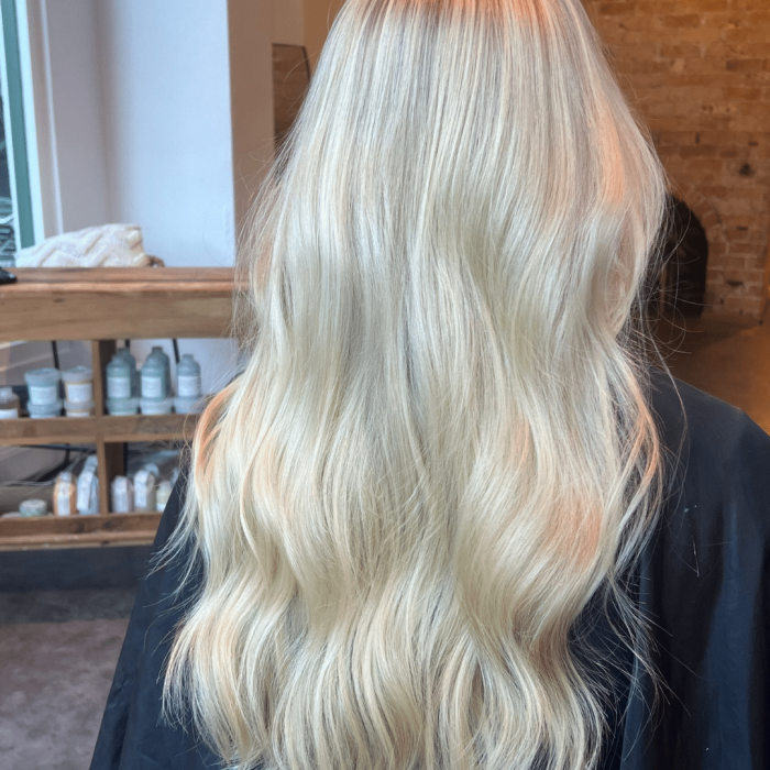 signature blonde signature blonde